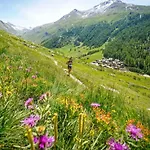 Planards Centre Foot Of The Planards Slopes Chamonix