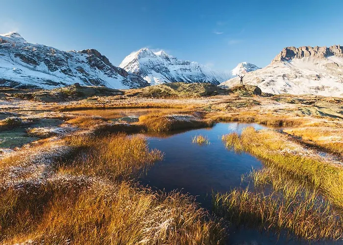 Planards Centre Foot Of The Planards Slopes * Chamonix