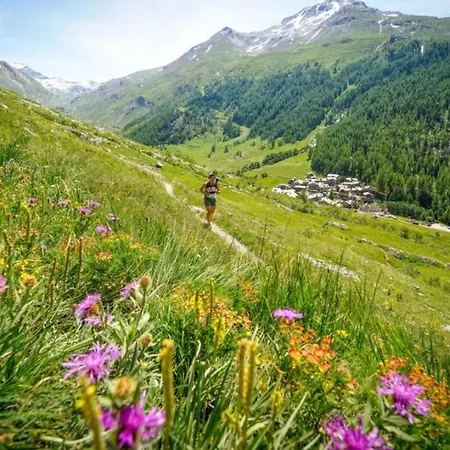 Planards Centre Foot Of The Planards Slopes Chamonix Mont Blanc